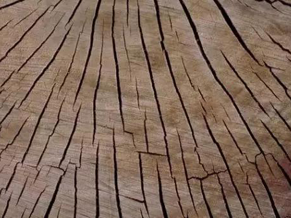 天津防止菠萝格木材板材开裂，八个方法